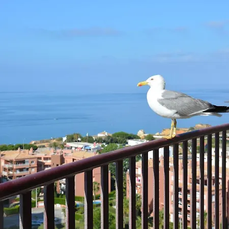 Unique Sun And Ocean View